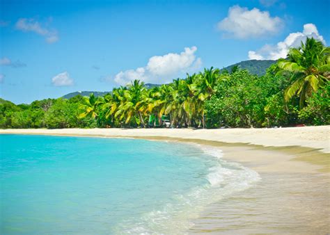 best excursions in tortola|The 10 Best Tortola Excursions & British Virgin。